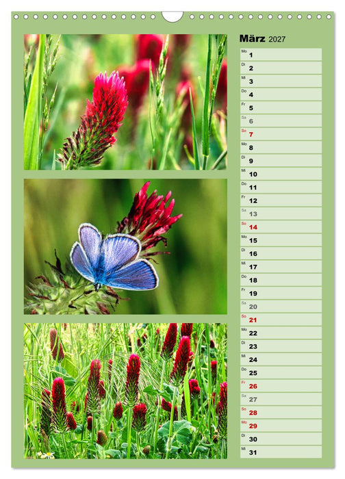 Farbenzauber, bunte Wiesen und bunte Falter (CALVENDO Wandkalender 2027)