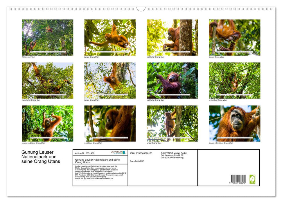 Gunung Leuser Nationalpark und seine Orang Utans (CALVENDO Wandkalender 2027)