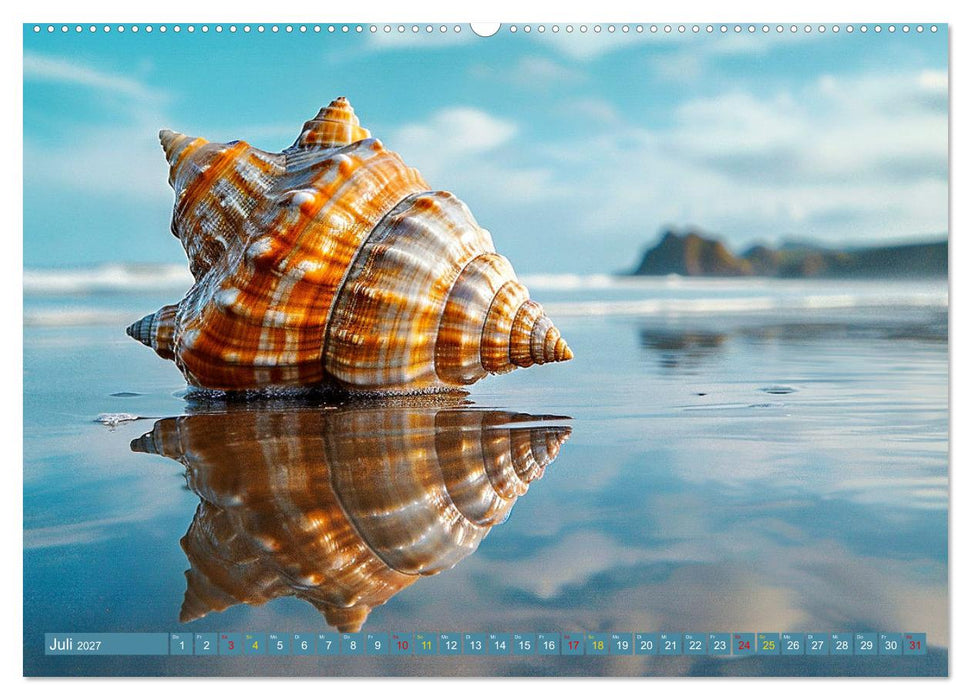 Faszination Muscheln (CALVENDO Premium Wandkalender 2027)