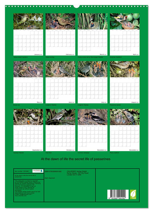 At the dawn of life the secret life of passerines (CALVENDO Premium-Calendar 2027)