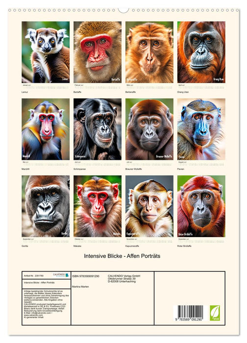 Intensive Blicke - Affen Porträts (CALVENDO Premium Wandkalender 2027)