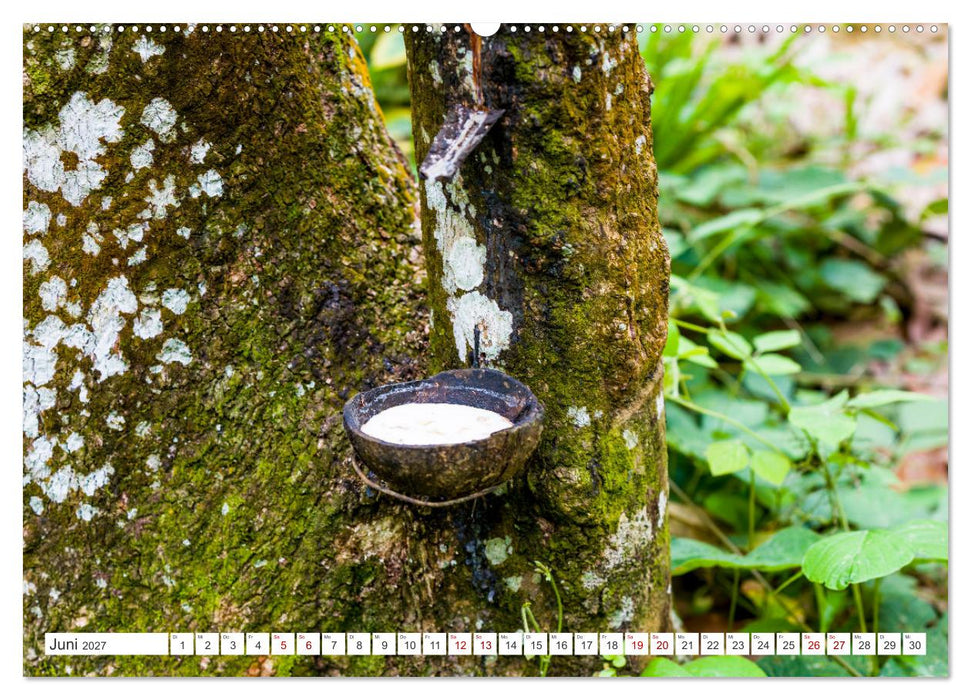 Gunung Leuser Nationalpark Sumatra (CALVENDO Wandkalender 2027)