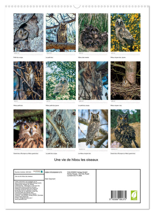 Une vie de hibou les oiseaux (CALVENDO Calendrier supérieur 2027)