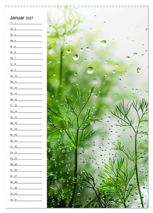 Kräuterfrische (CALVENDO Wandkalender 2027)