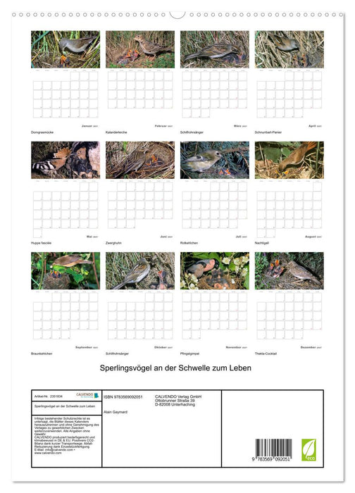 Sperlingsvögel an der Schwelle zum Leben (CALVENDO Premium Wandkalender 2027)