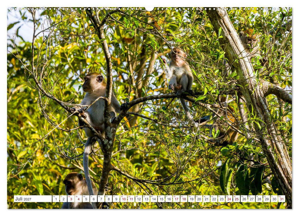 Gunung Leuser Nationalpark Sumatra (CALVENDO Premium Wandkalender 2027)
