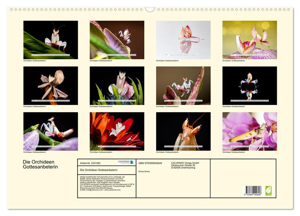 Die Orchideen Gottesanbeterin (CALVENDO Wandkalender 2027)