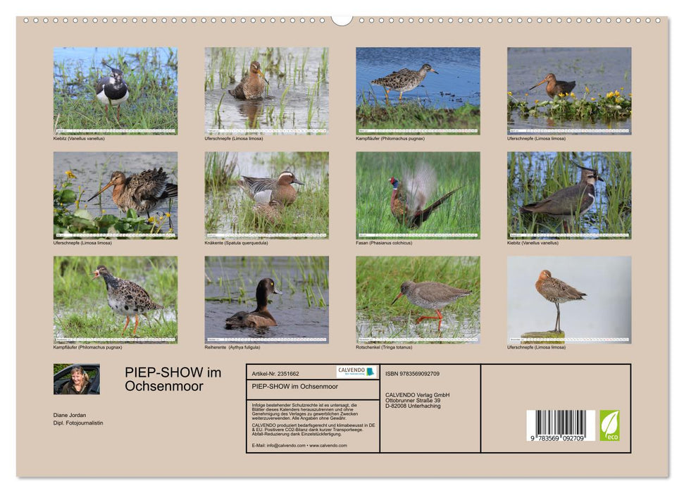 PIEP-SHOW im Ochsenmoor (CALVENDO Premium Wandkalender 2027)