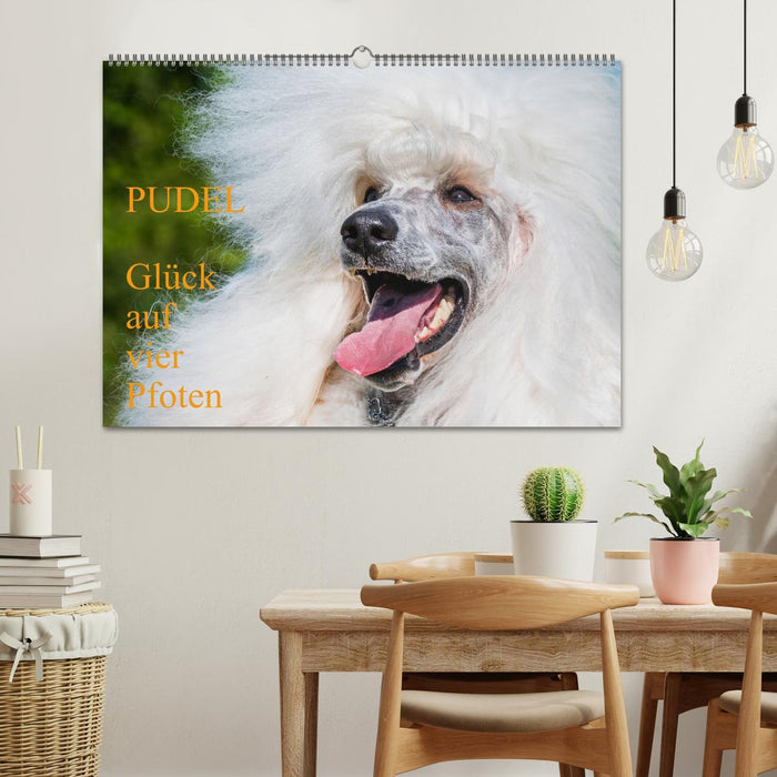 Pudel - Glück auf vier Pfoten (CALVENDO Wandkalender 2027)