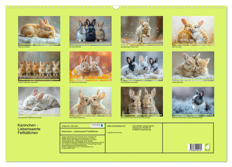 Kaninchen - Liebenswerte Fellbällchen (CALVENDO Wandkalender 2027)