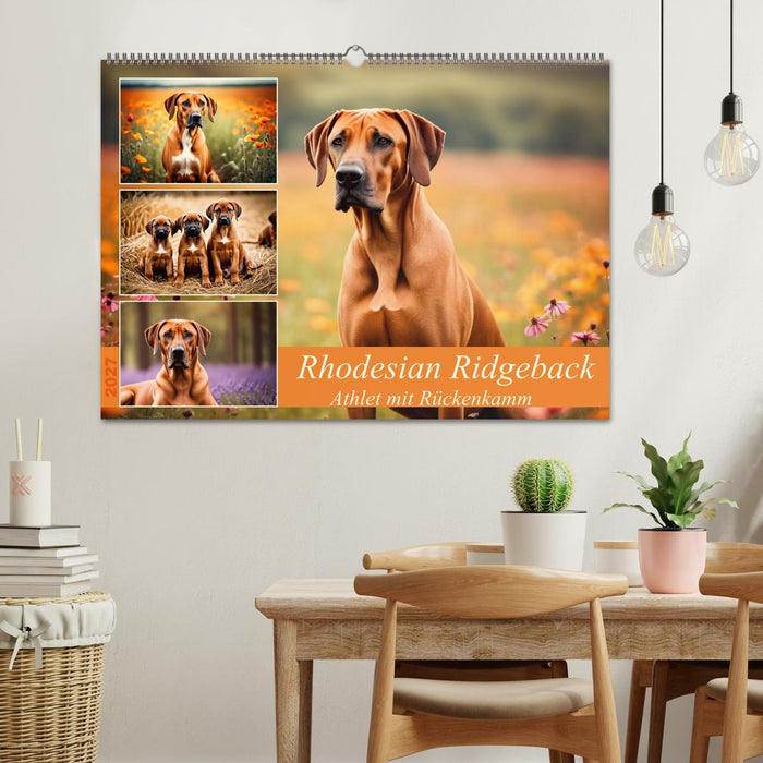 Rhodesian Ridgeback - Athlet mit Rückenkamm (CALVENDO Wandkalender 2027)
