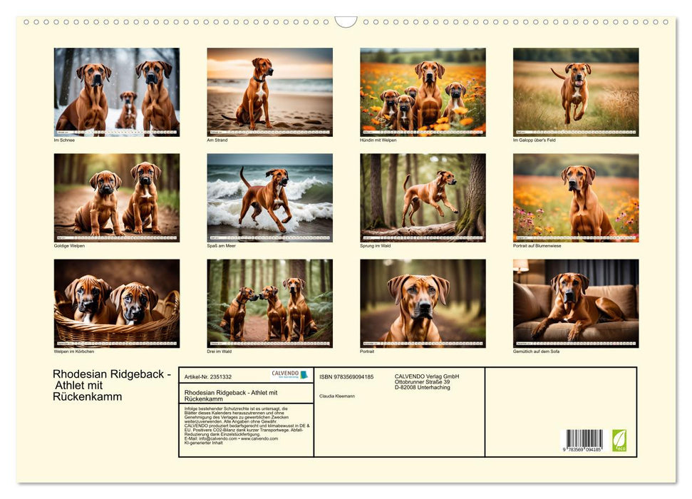 Rhodesian Ridgeback - Athlet mit Rückenkamm (CALVENDO Wandkalender 2027)