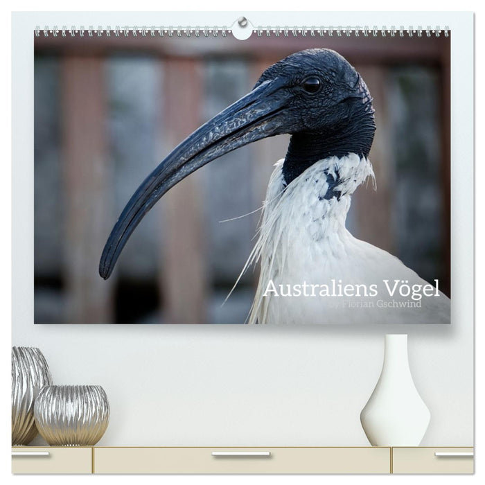 Australiens Vögel (CALVENDO Premium Wandkalender 2027)