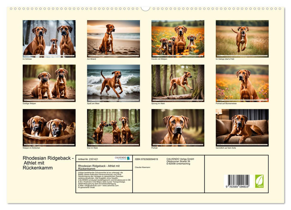 Rhodesian Ridgeback - Athlet mit Rückenkamm (CALVENDO Premium Wandkalender 2027)