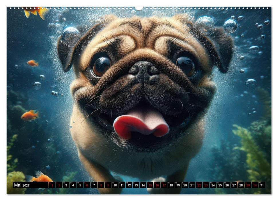 Badespaß - Hunde unter Wasser (CALVENDO Premium Wandkalender 2027)