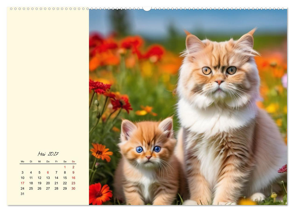 Samtpfoten im Blütenmeer (CALVENDO Wandkalender 2027)