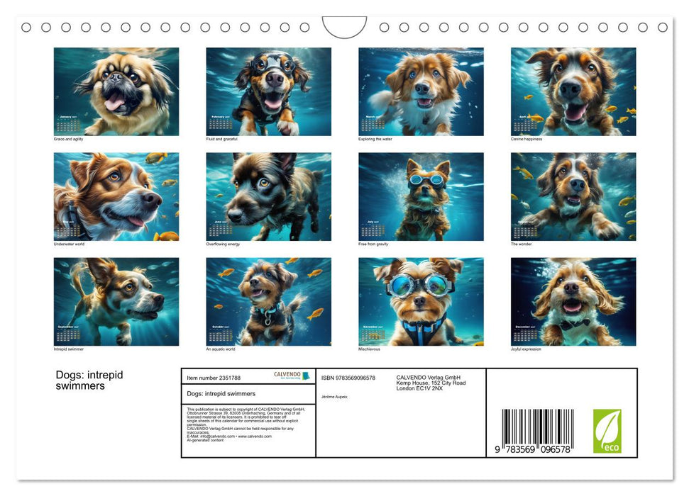 Dogs: intrepid swimmers (CALVENDO Monthly Calendar 2027)