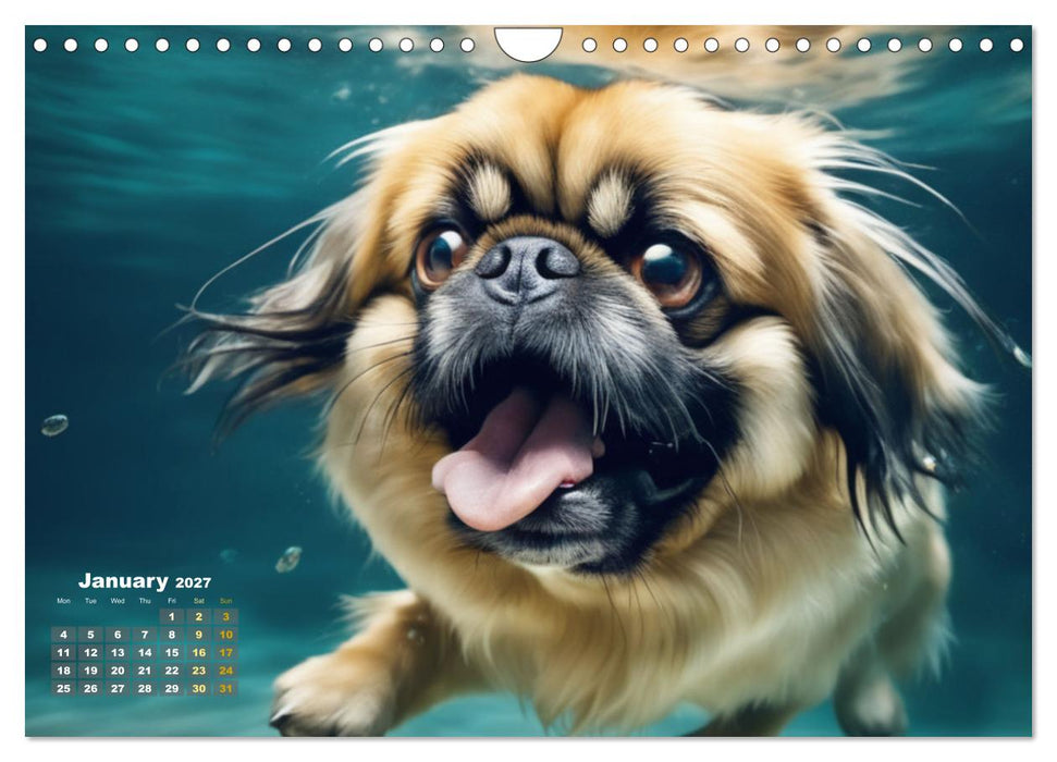 Dogs: intrepid swimmers (CALVENDO Monthly Calendar 2027)