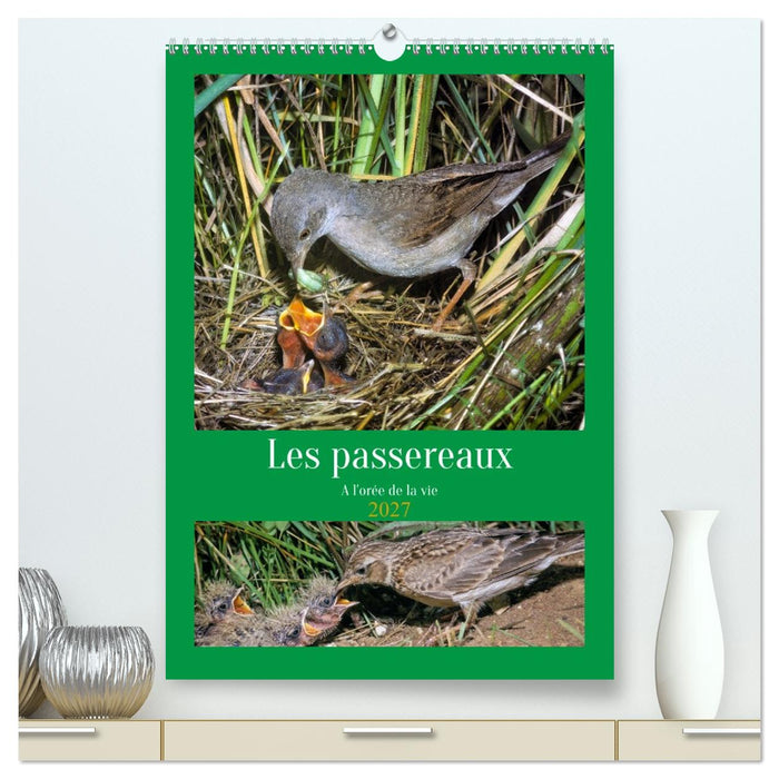 Les passereaux à l'orée de la vie (CALVENDO Calendrier supérieur 2027)