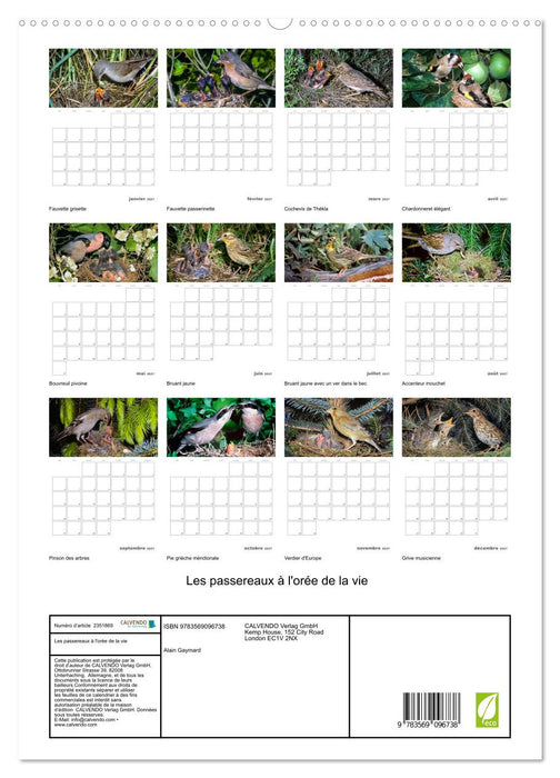 Les passereaux à l'orée de la vie (CALVENDO Calendrier supérieur 2027)