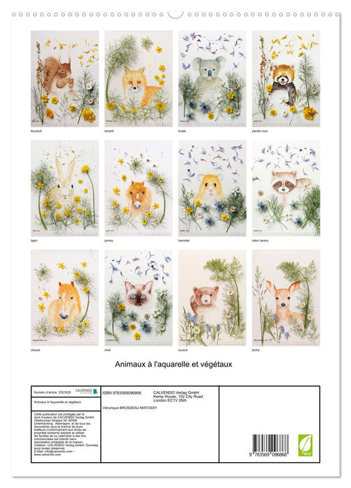 Animaux à l'aquarelle et végétaux (CALVENDO Calendrier supérieur 2027)