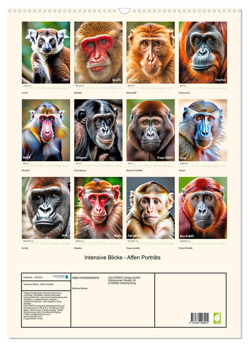 Intensive Blicke - Affen Porträts (CALVENDO Wandkalender 2027)