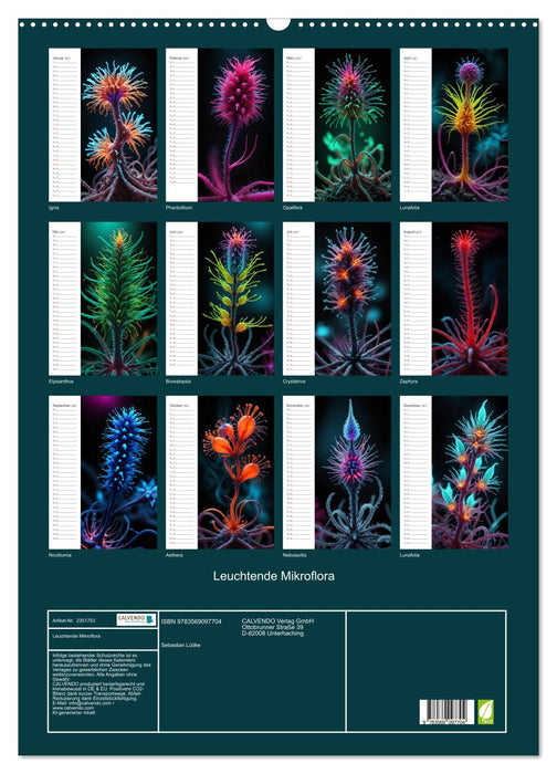 Leuchtende Mikroflora (CALVENDO Wandkalender 2027)
