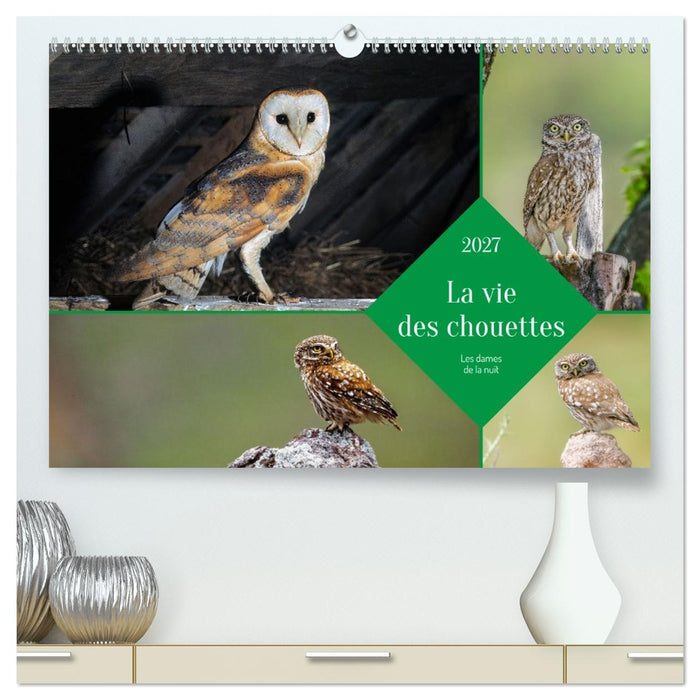 La vie des chouettes, les dames de la nuit (CALVENDO Calendrier supérieur 2027)