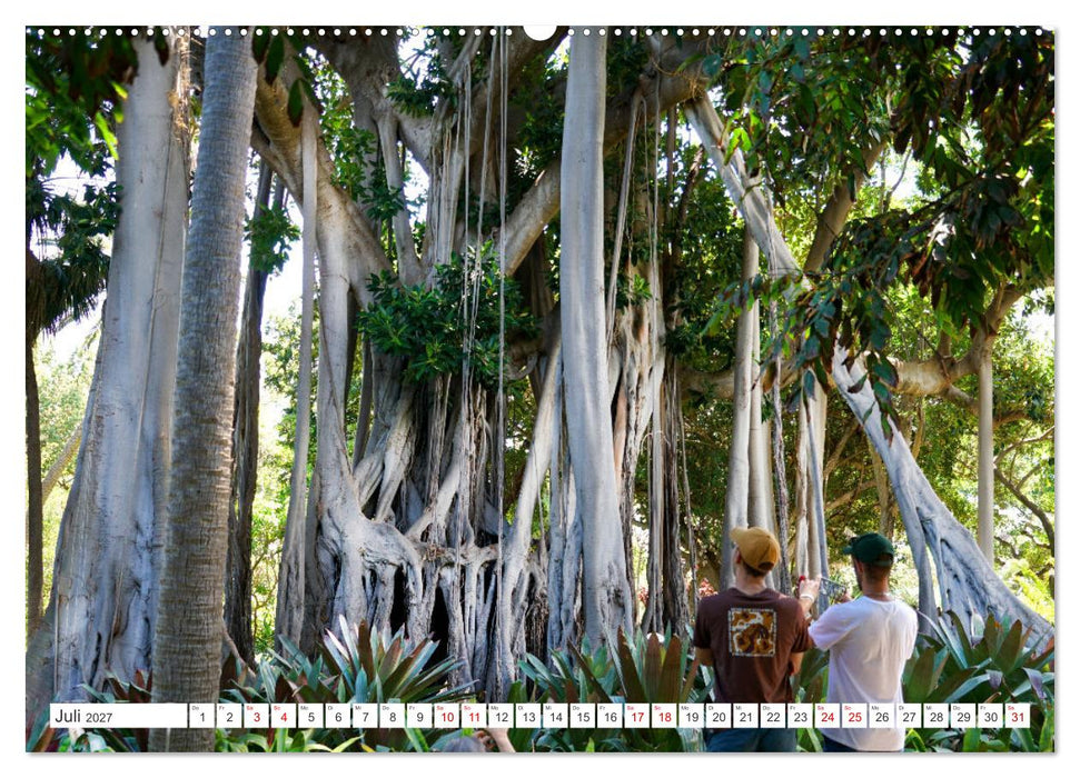 Puerto de la Cruz. Teneriffa Urlaub. (CALVENDO Premium Wandkalender 2027)