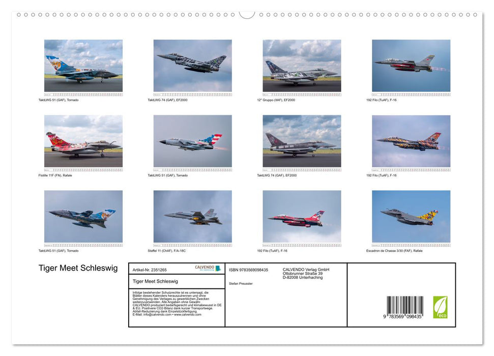 Tiger Meet Schleswig (CALVENDO Premium Wandkalender 2027)