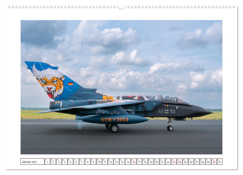 Tiger Meet Schleswig (CALVENDO Premium Wandkalender 2027)