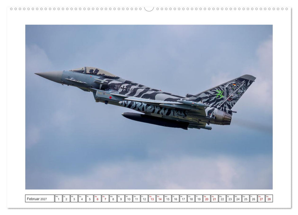Tiger Meet Schleswig (CALVENDO Premium Wandkalender 2027)