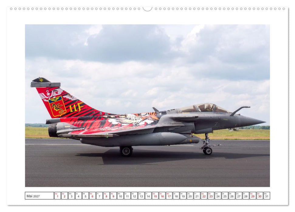 Tiger Meet Schleswig (CALVENDO Premium Wandkalender 2027)