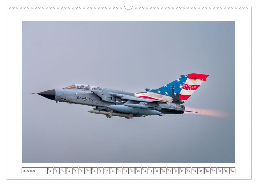 Tiger Meet Schleswig (CALVENDO Premium Wandkalender 2027)