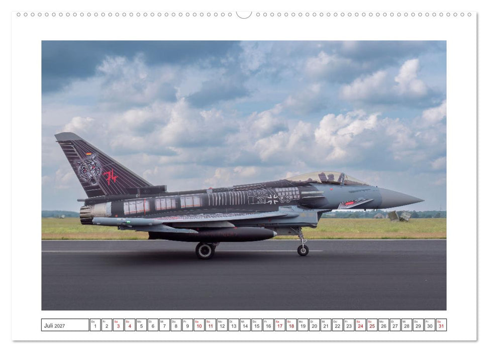 Tiger Meet Schleswig (CALVENDO Premium Wandkalender 2027)