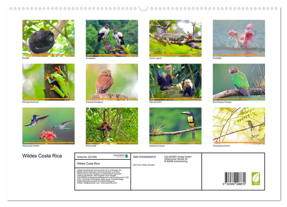 Wildes Costa Rica (CALVENDO Premium Wandkalender 2027)