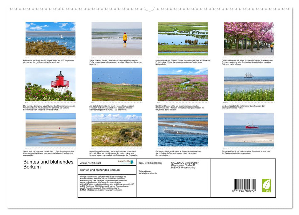 Buntes und blühendes Borkum (CALVENDO Premium Wandkalender 2027)