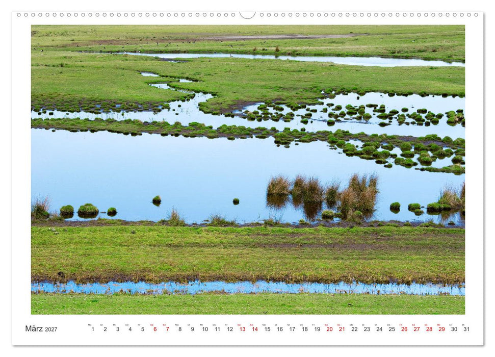 Buntes und blühendes Borkum (CALVENDO Premium Wandkalender 2027)