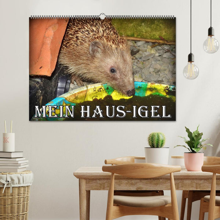 Mein Haus-Igel (CALVENDO Wandkalender 2027)