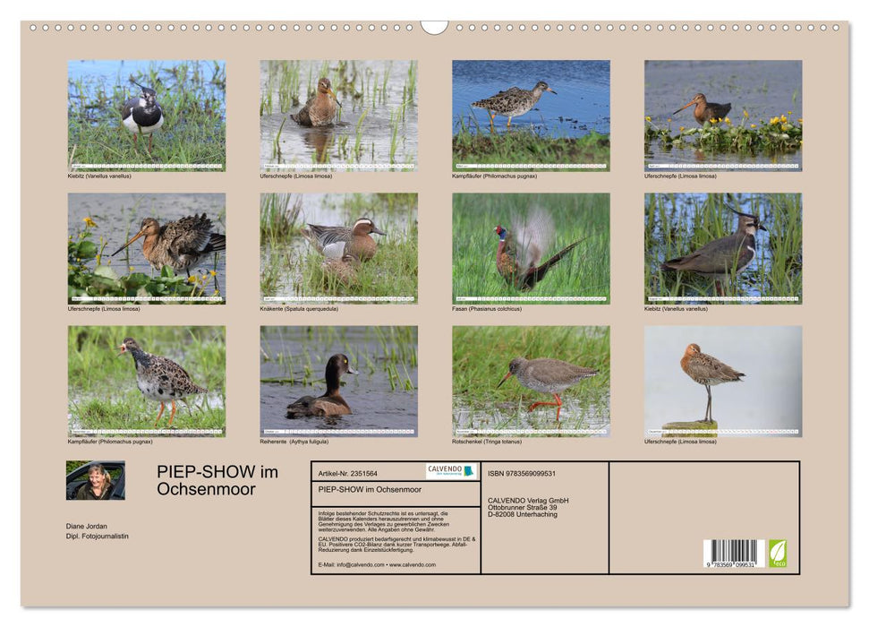 PIEP-SHOW im Ochsenmoor (CALVENDO Wandkalender 2027)