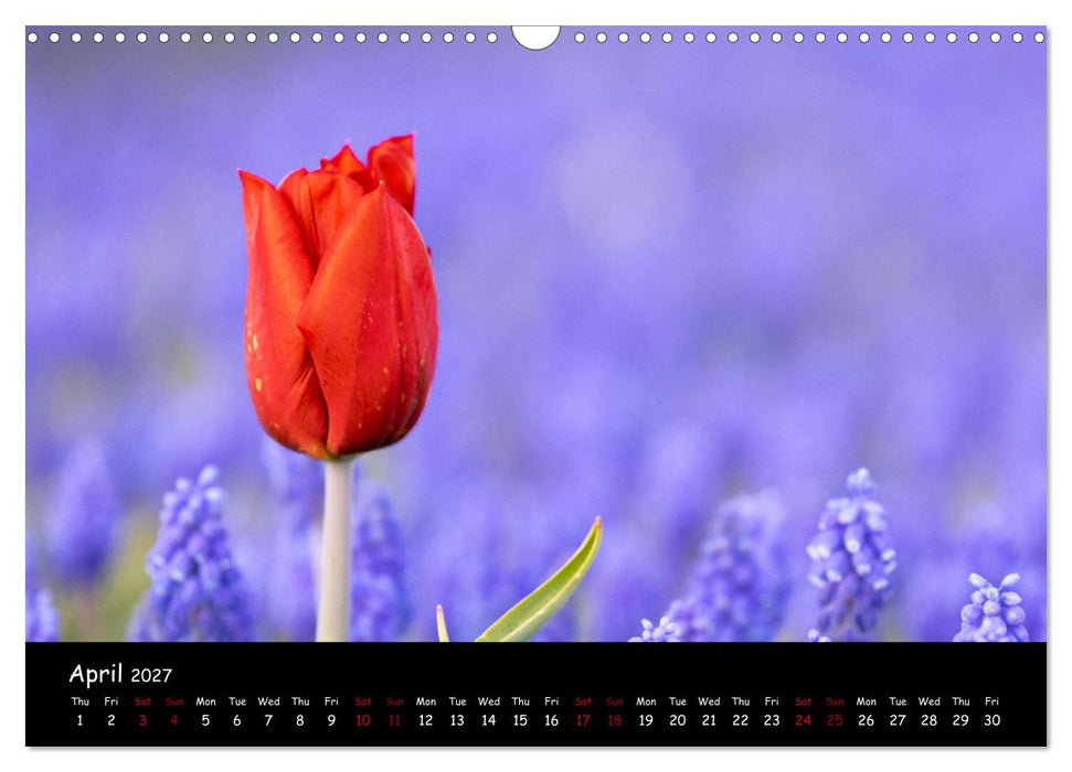 Moody calendar (CALVENDO Monthly Calendar 2027)