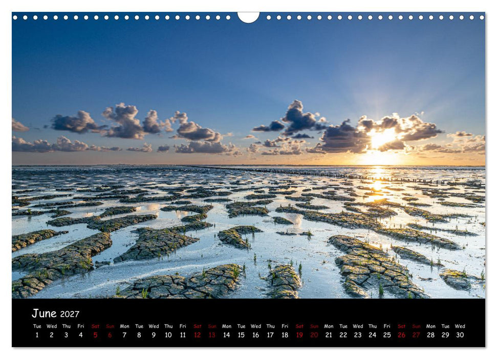 Moody calendar (CALVENDO Monthly Calendar 2027)
