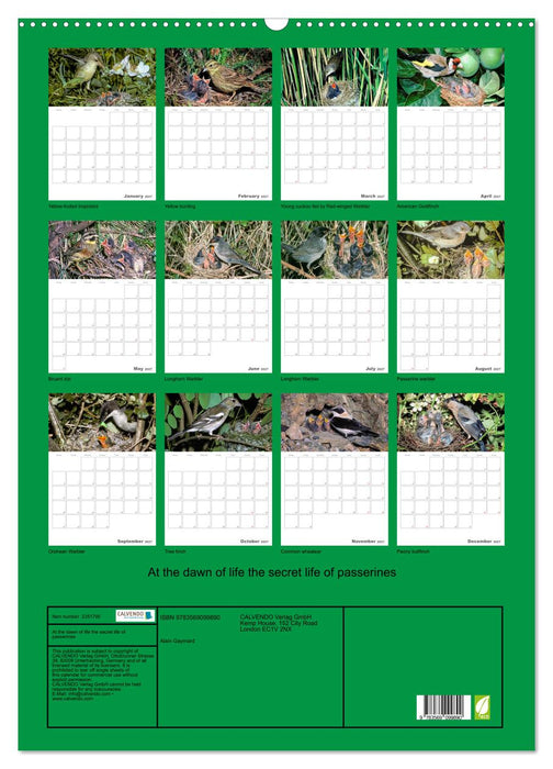 At the dawn of life the secret life of passerines (CALVENDO Monthly Calendar 2027)