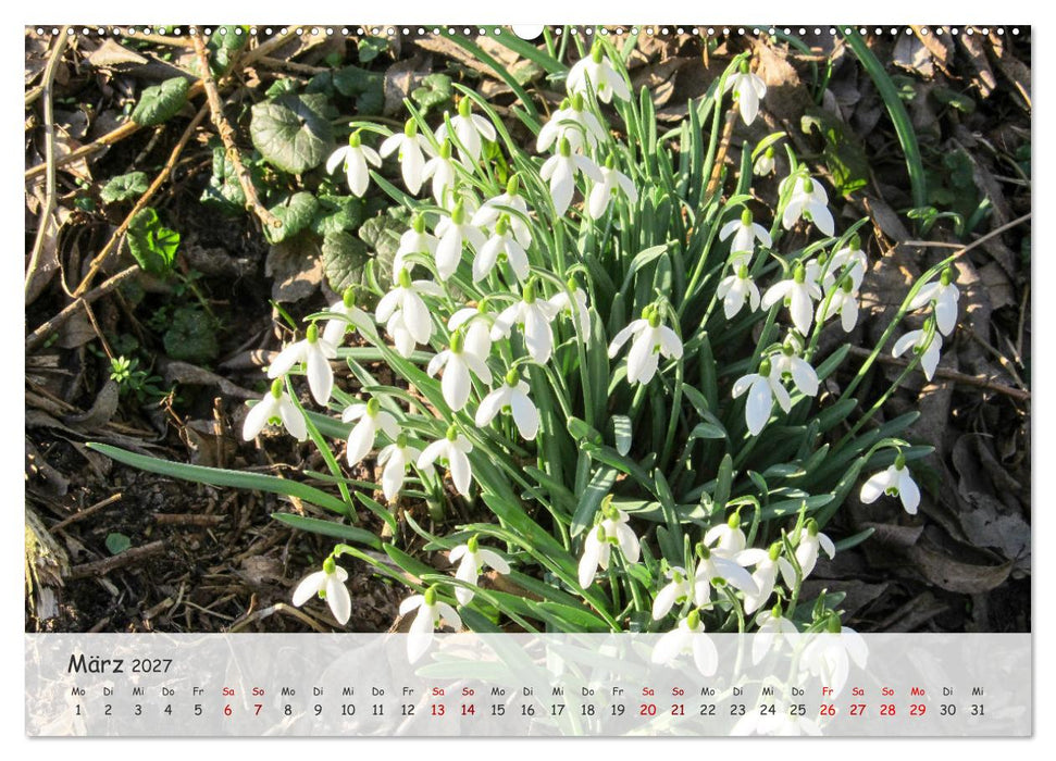 Vier Jahreszeiten - Eine Welt (CALVENDO Wandkalender 2027)