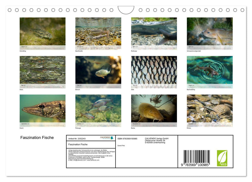 Faszination Fische (CALVENDO Wandkalender 2027)
