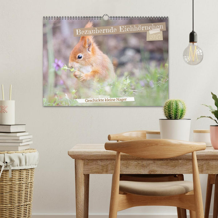 Bezaubernde Eichhörnchen (CALVENDO Wandkalender 2027)