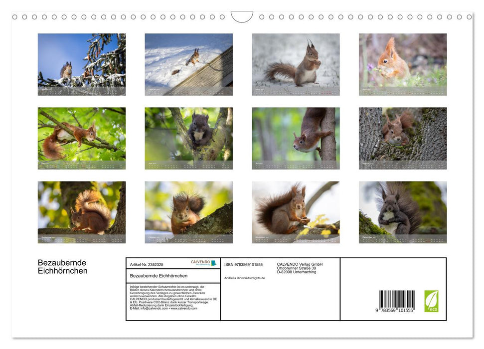 Bezaubernde Eichhörnchen (CALVENDO Wandkalender 2027)