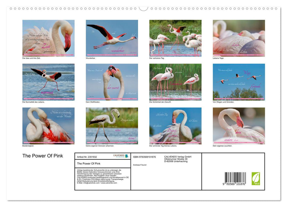 The Power Of Pink (CALVENDO Premium Wandkalender 2027)