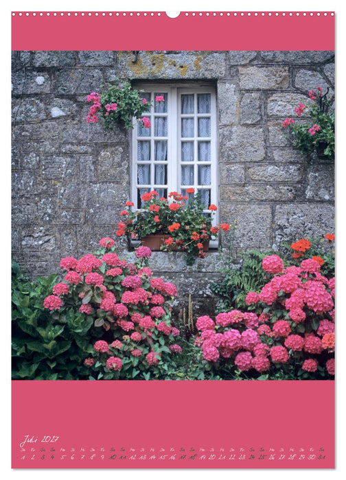Alte Fenster (CALVENDO Premium Wandkalender 2027)