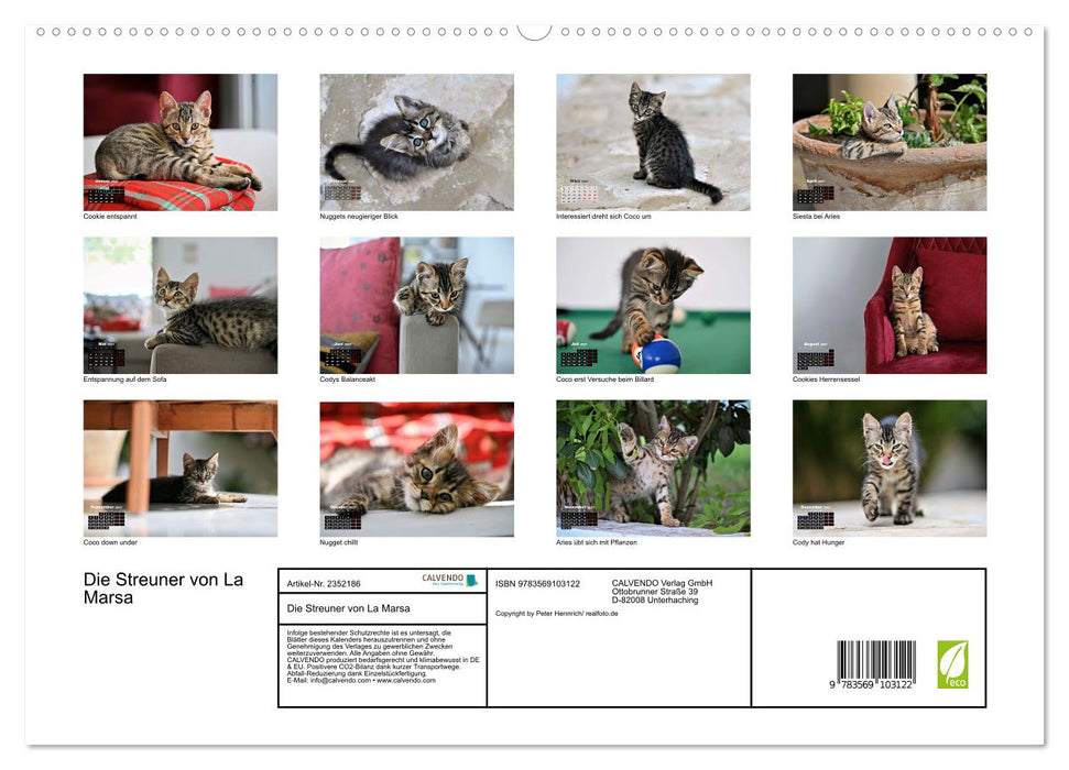 Die Streuner von La Marsa (CALVENDO Premium Wandkalender 2027)